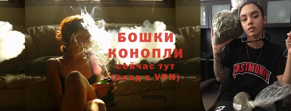 дживик Магас
