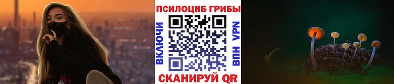 блэк спрут сайт  Курлово  Псилоцибиновые грибы ЛСД  хочу наркоту 