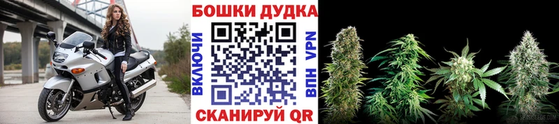 где купить   Курлово  Шишки марихуана Amnesia 
